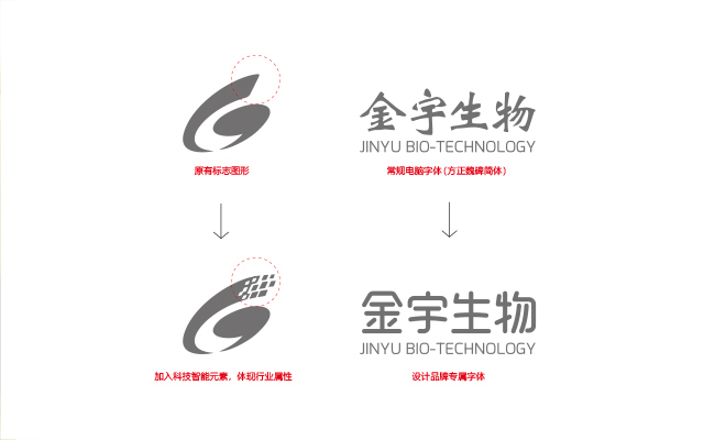 j1.jpg